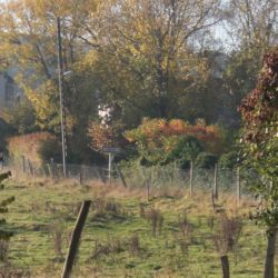 Paysage de Lassy